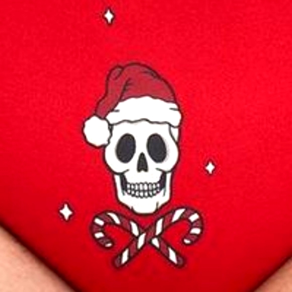❤️NWT VINTAGE TORRID PANTY - CANDY CANE SKULL SANTA CHRISTMAS HOLIDAY PLUS SIZE - Picture 2 of 11